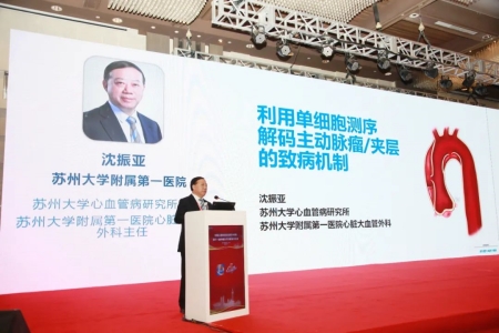 蘇州大學(xué)心血管病研究所所長(zhǎng)、蘇州大學(xué)附屬第一醫(yī)院心臟大血管外科主任沈振亞教授作報(bào)告